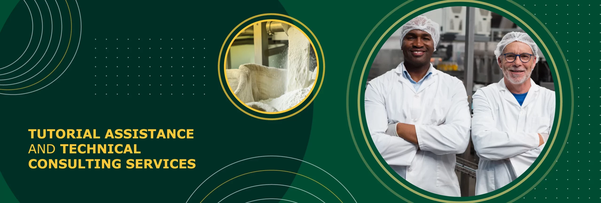 Tutorial Assistance and Technical Consulting Services